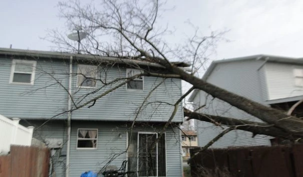 Tree Falls on House