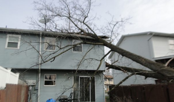 Tree Falls on House